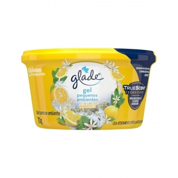 GLADE ODORIZADOR DE AMBIENTE EM GEL CITRUS 70G